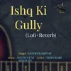 About ISHQ KI GULLY (LOFI, REVERB) Song